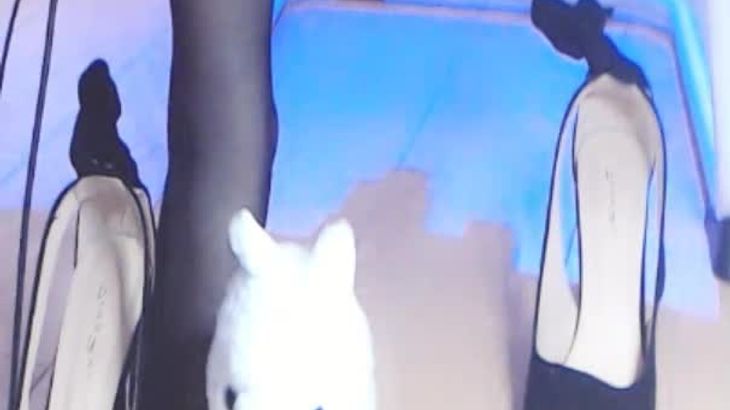 ASMR肉淼淼 搜查系列 帮你下班轻松