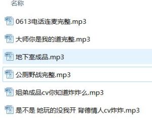 cv炸炸御姐音ASMR作品6首[R18剧情音声/32.6G/WAV]